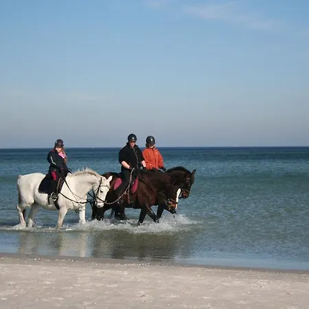 Ferienwohnung Ostseestrand Zingst Room photo