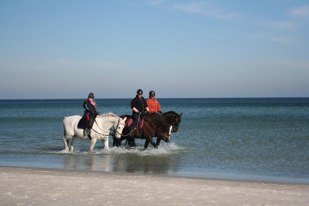 Holiday home Ostseestrand *